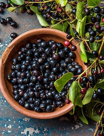 Core Ingredients in GlucoBerry